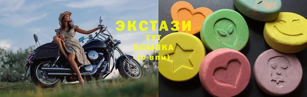 ECSTASY Богородицк